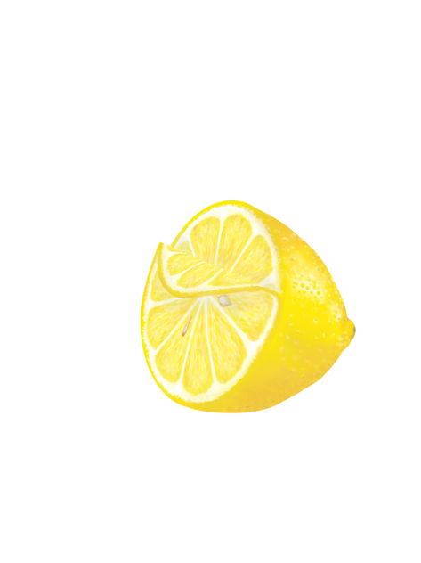 素材 レモン