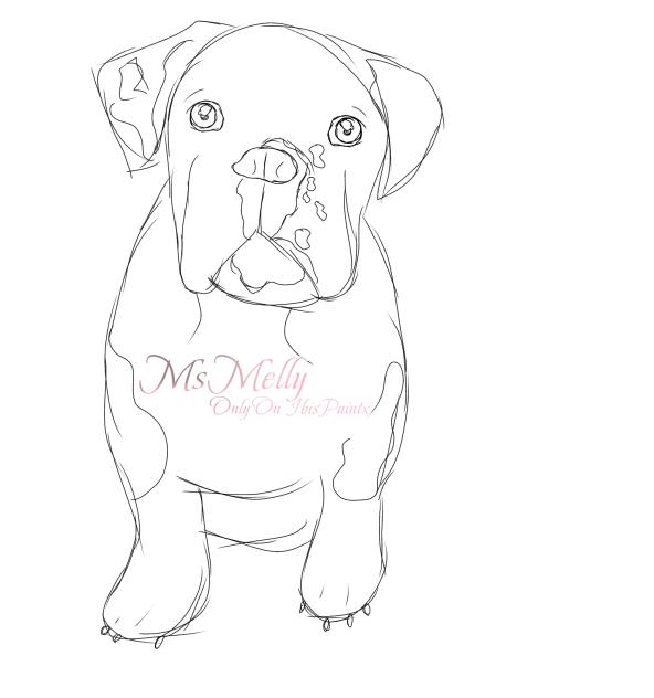 Puppy Wip