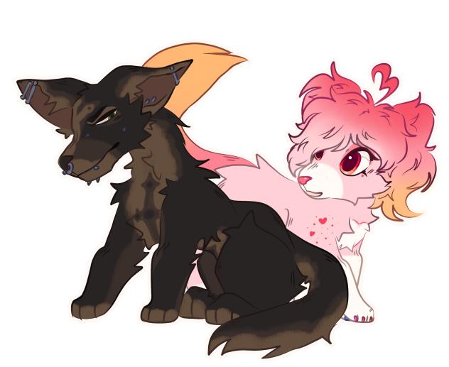 freebie comm 5