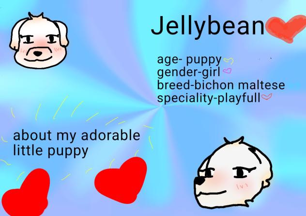 my dog