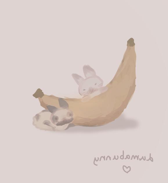 Bunnies - ibisPaint