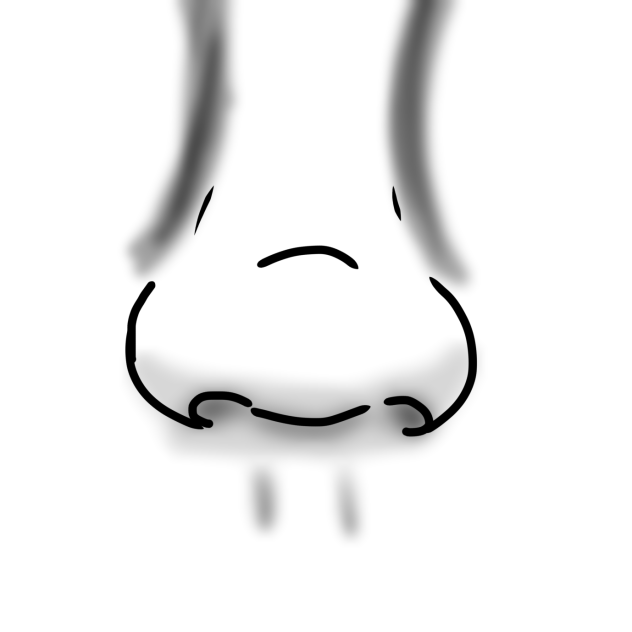 Noseyyy