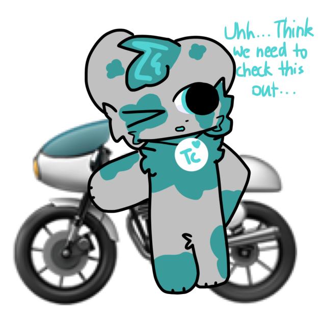 I HATE BIKES ‼️ 🍤 🦐