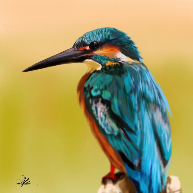 Kingfisher