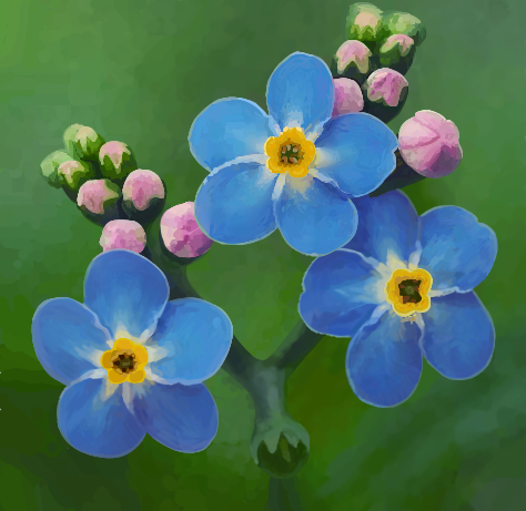 blue flowers ⋆˙⟡