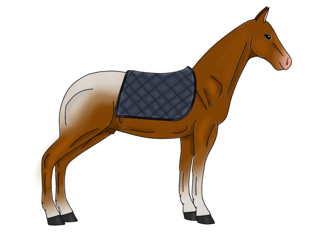 dark navy saddle pad 🔵