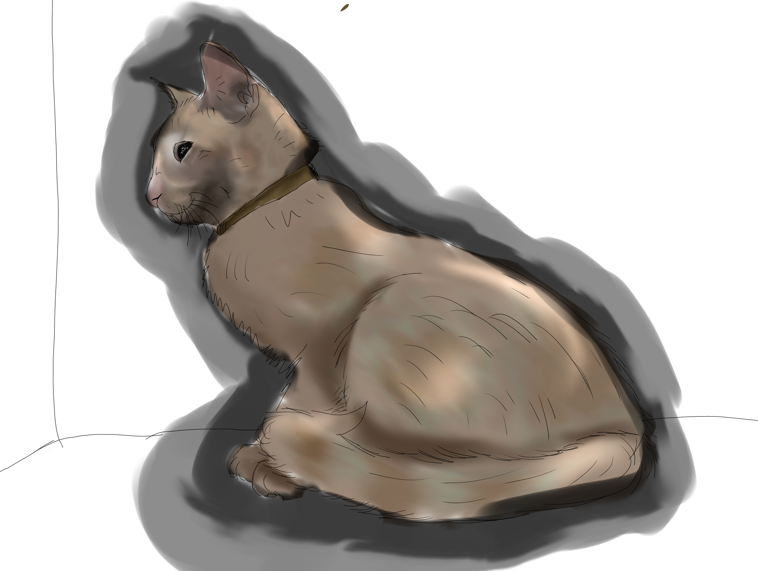 A Kitten 🐈🐾 - ibisPaint