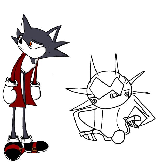 Troy the Cat