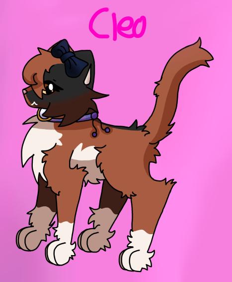 Cleo, Cat, Plushy, OC, Meow.