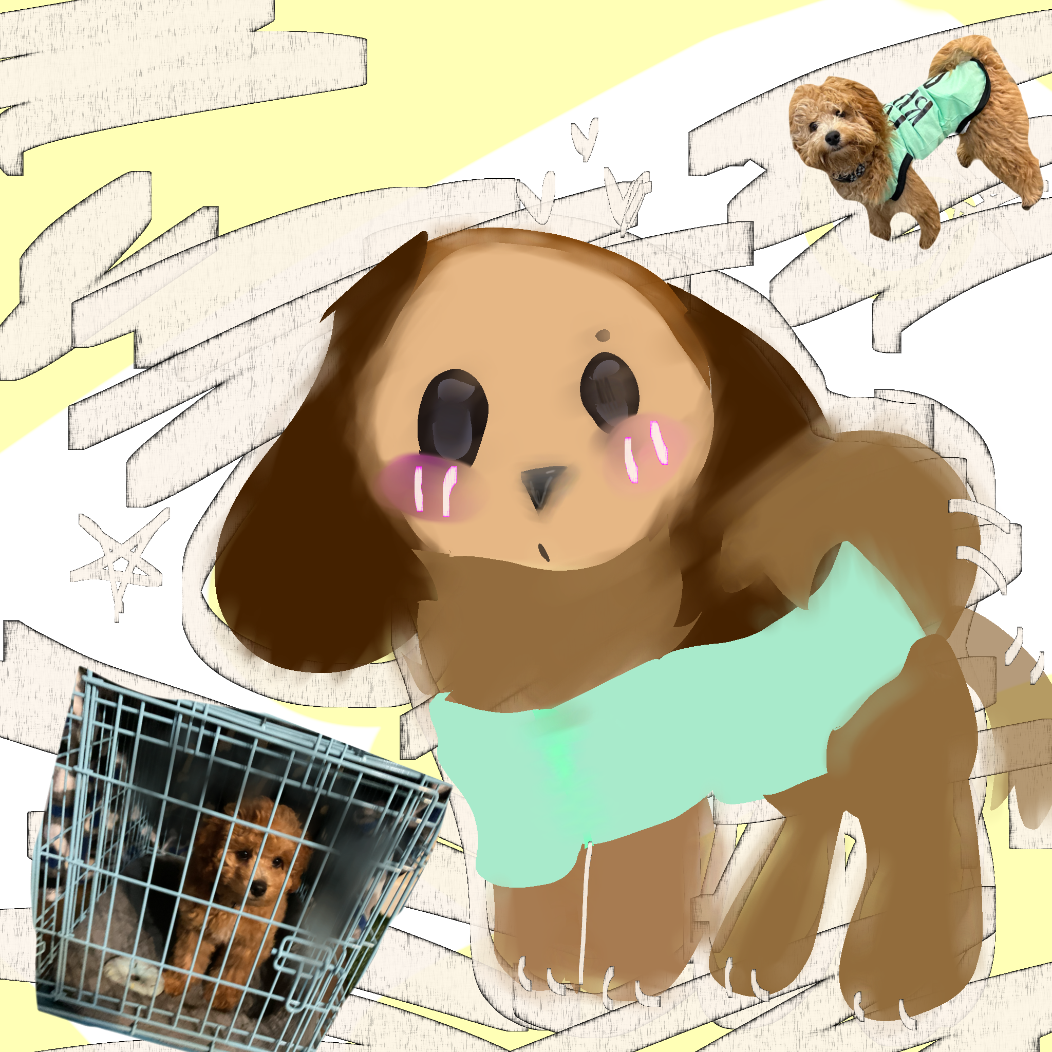 Dog - ibisPaint