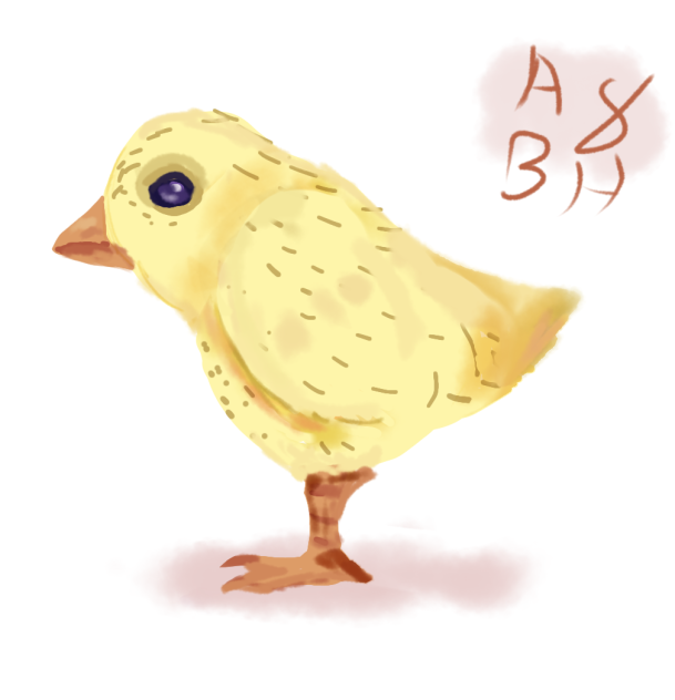 Baby Chick
