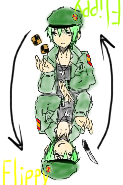 HTFフリッピー