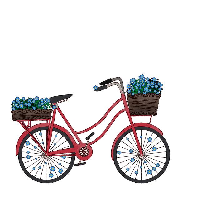 Forgetmenot Bicycle