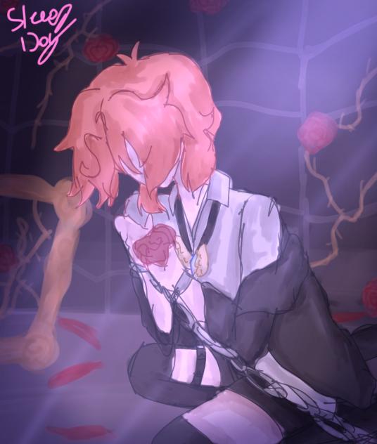 Aster