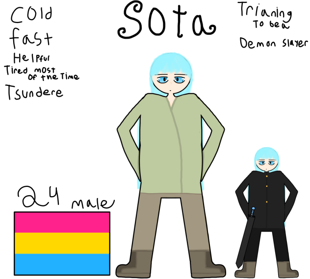 Sota profile