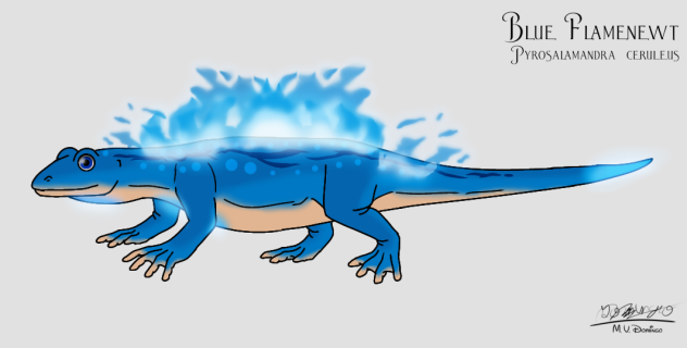 Blue Flamenewt glows