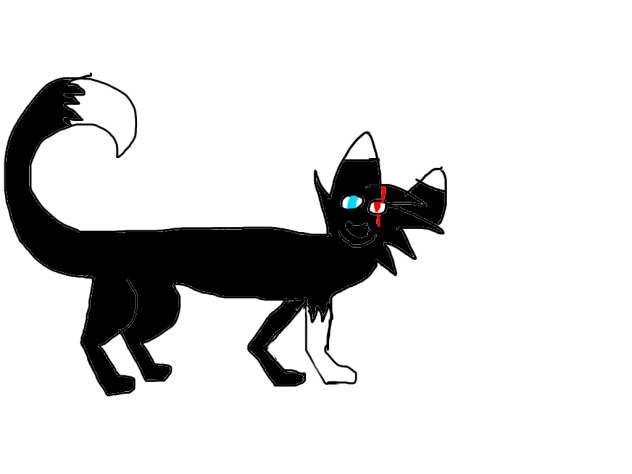 Soul the cat OC
