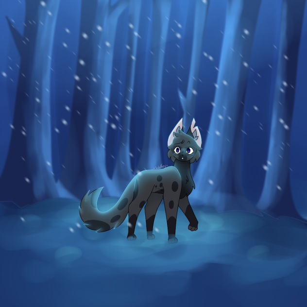 Request #8