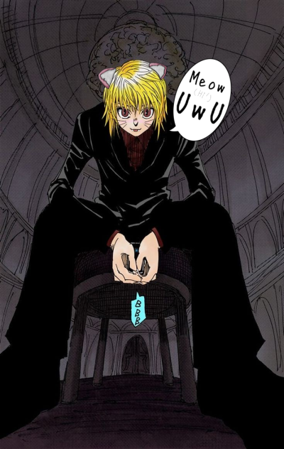 cat kurapika