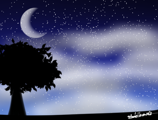 night sky