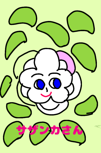 サザンカさん