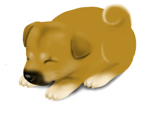 ゴロー子犬の頃
