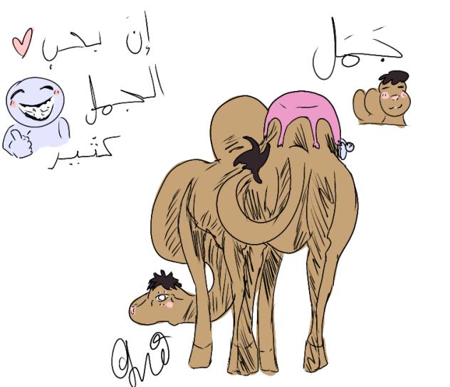 camel