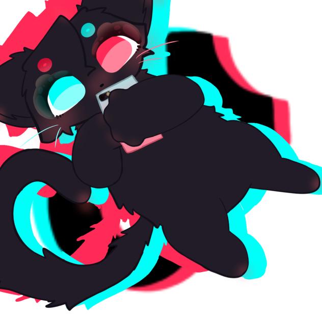 TikTok Cat