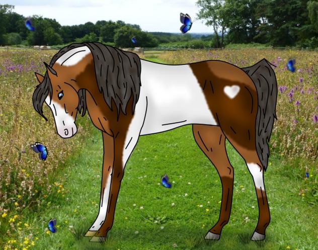 my new horseyyy!!