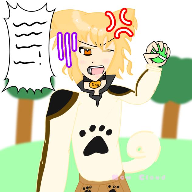 Angry papillon