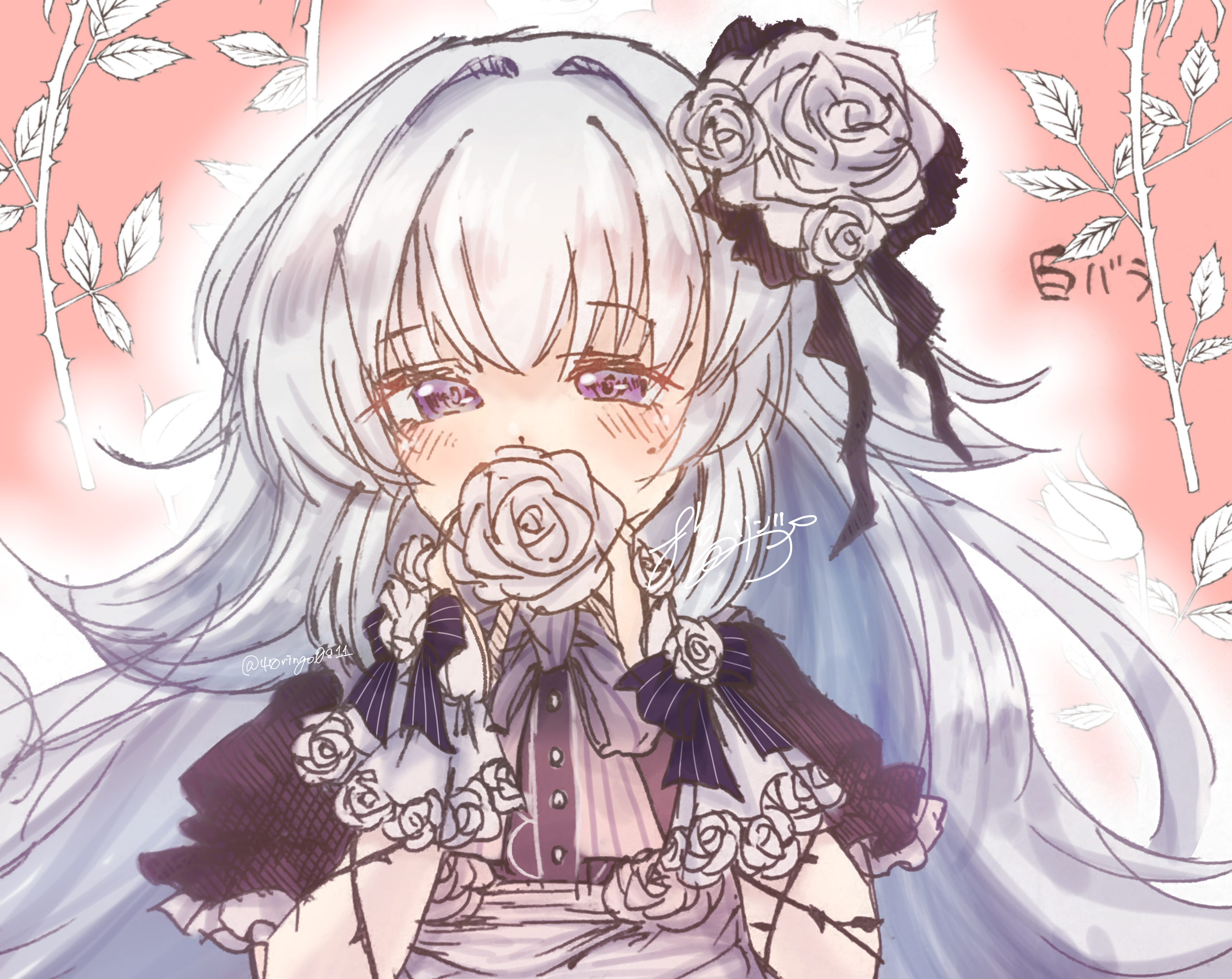 白薔薇 - ibisPaint