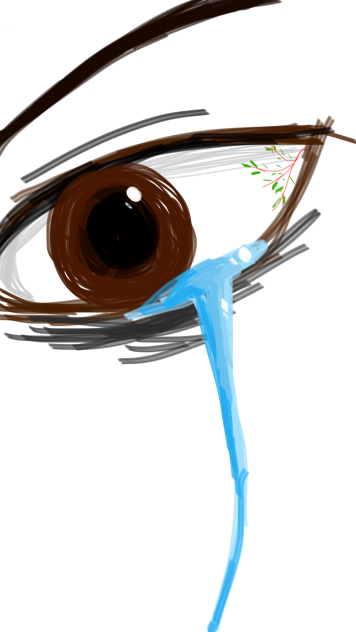 Eye