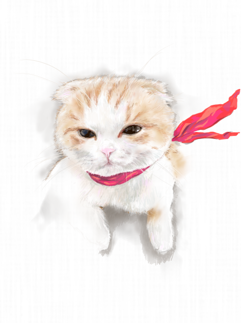 正月、ゼーっ！