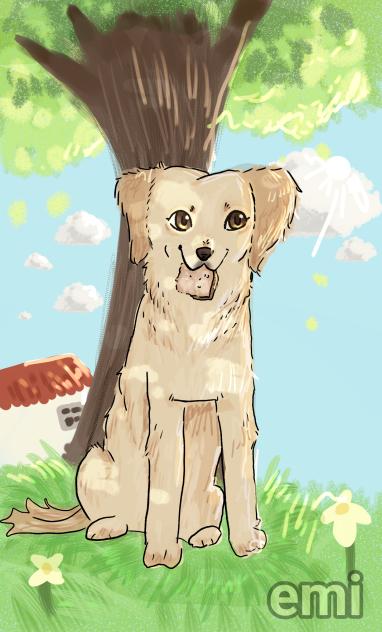 🍞molly 🍞