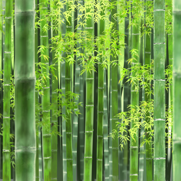 竹林