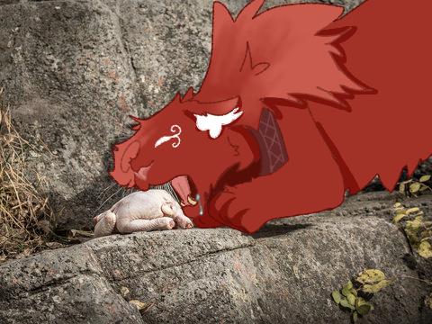 A very cougar shitpost