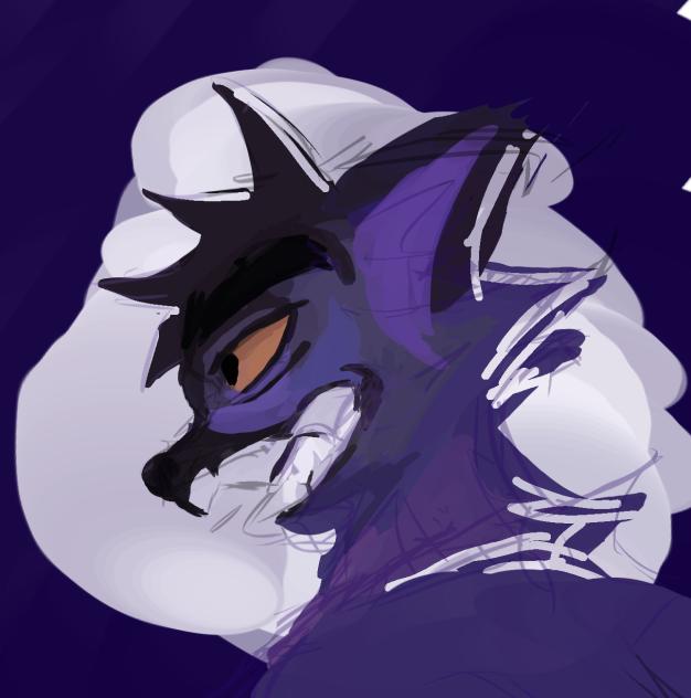 wolf