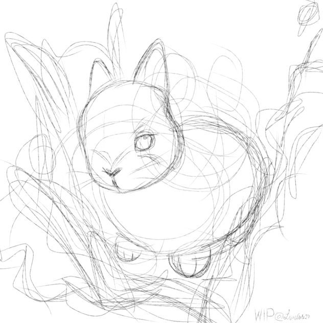 Year Of Water Rabbit