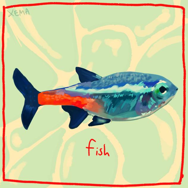 fish