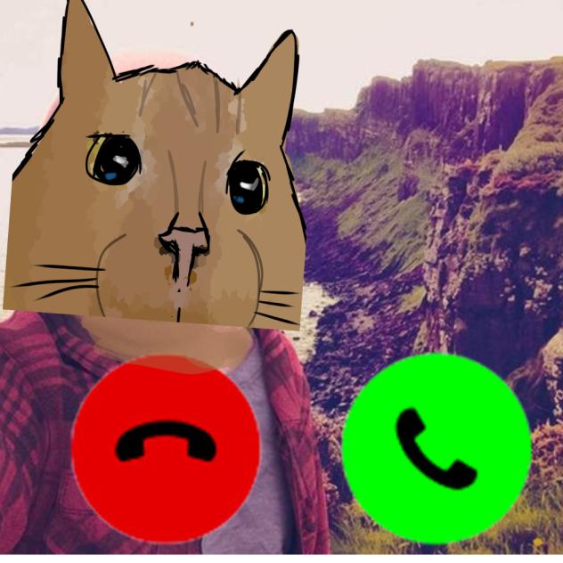 fat cats calling