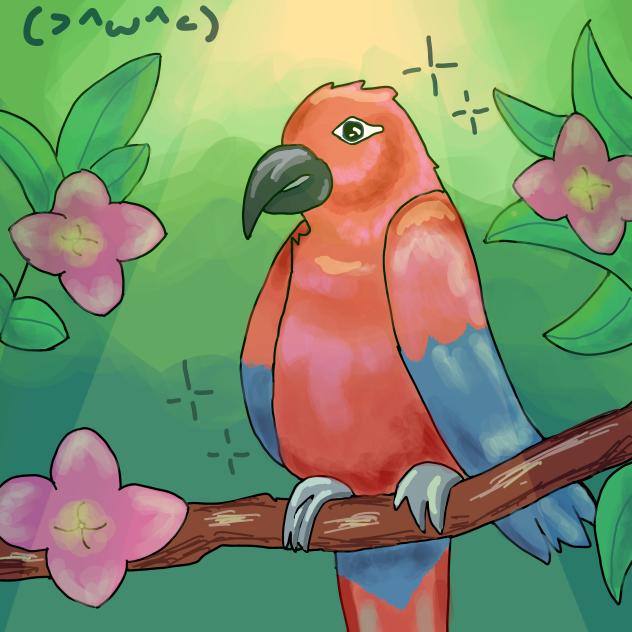 Bird