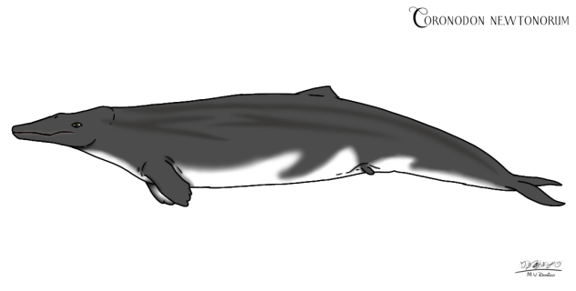 Coronodon newtonorum