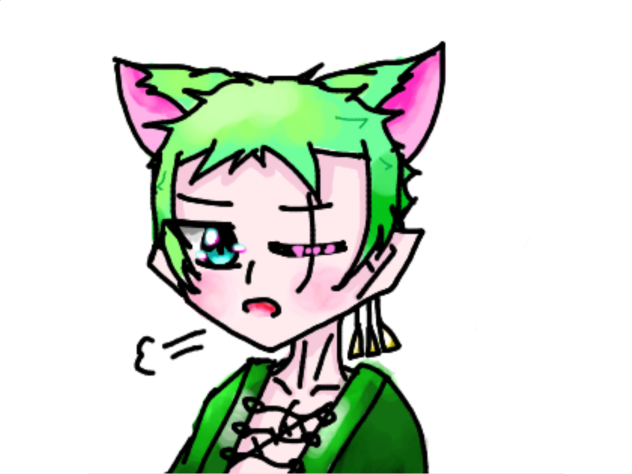 猫耳ゾロ！〜絵ちゃ〜