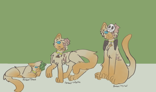 Amber’Moth at three stages