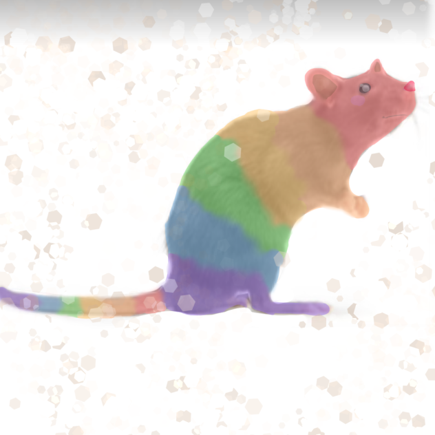 🌈 🐀 ✨