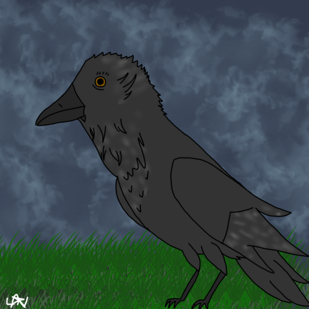 22 sin título - ibisPaint
