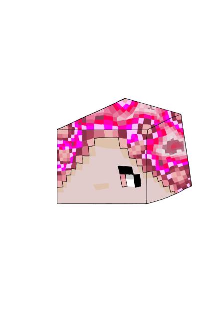 Minecraft Head