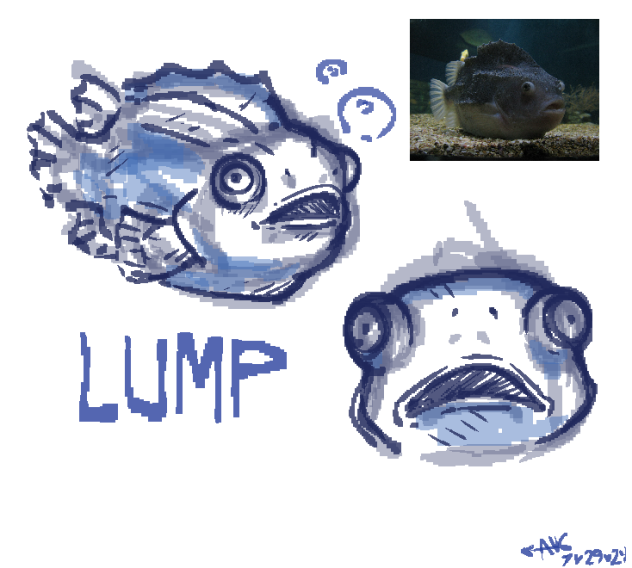 Lumpfish sketches