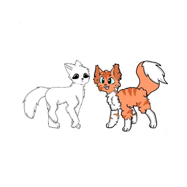 cat collab with Glitter