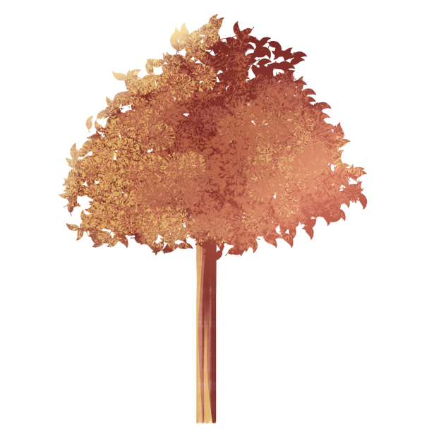 deciduous tree ibisPaint